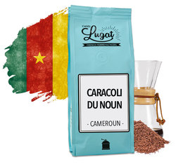 Café moulu pour Hario/Chemex - Cameroun - Caracoli du Noun - 250g - Cafés Lugat