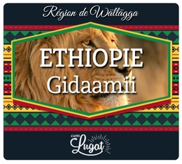 Café en grains : Gidaamii - Ethiopie - 1Kg - Lionel Lugat