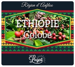 Café en grains : Golobe - Ethiopie - 250g - Lionel Lugat