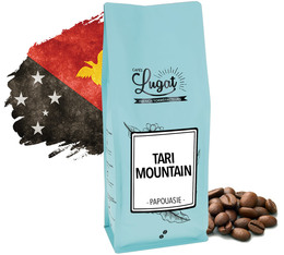 Café en grains : Papouasie Nouvelle-Guinée - Tari Mountain - 1 kg - Cafés Lugat