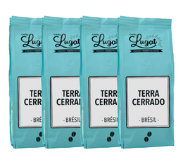 Café en grains : Brésil - Terra Cerrado - 1kg - Cafés Lugat