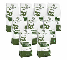 Café en grains bio Green Lion Coffee Terre d'avenir Commerce Equitable - 9kg