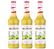 Lot de 3 Sirops pour professionnel - Citron vert - 3 x 70 cl - MONIN
