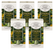 50 capsules compatibles Nespresso® Harenna Wild Forest Ethiopia - CAFFE CORSINI