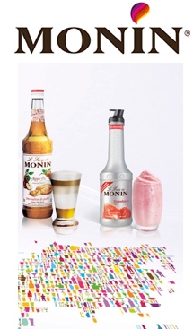 MONIN - Coffret noël - 5 sirops aux saveurs gourmandes