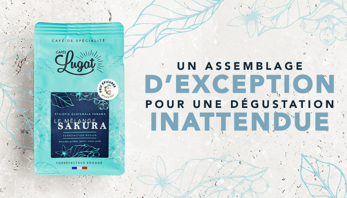 les cafes maxicoffee en promotion