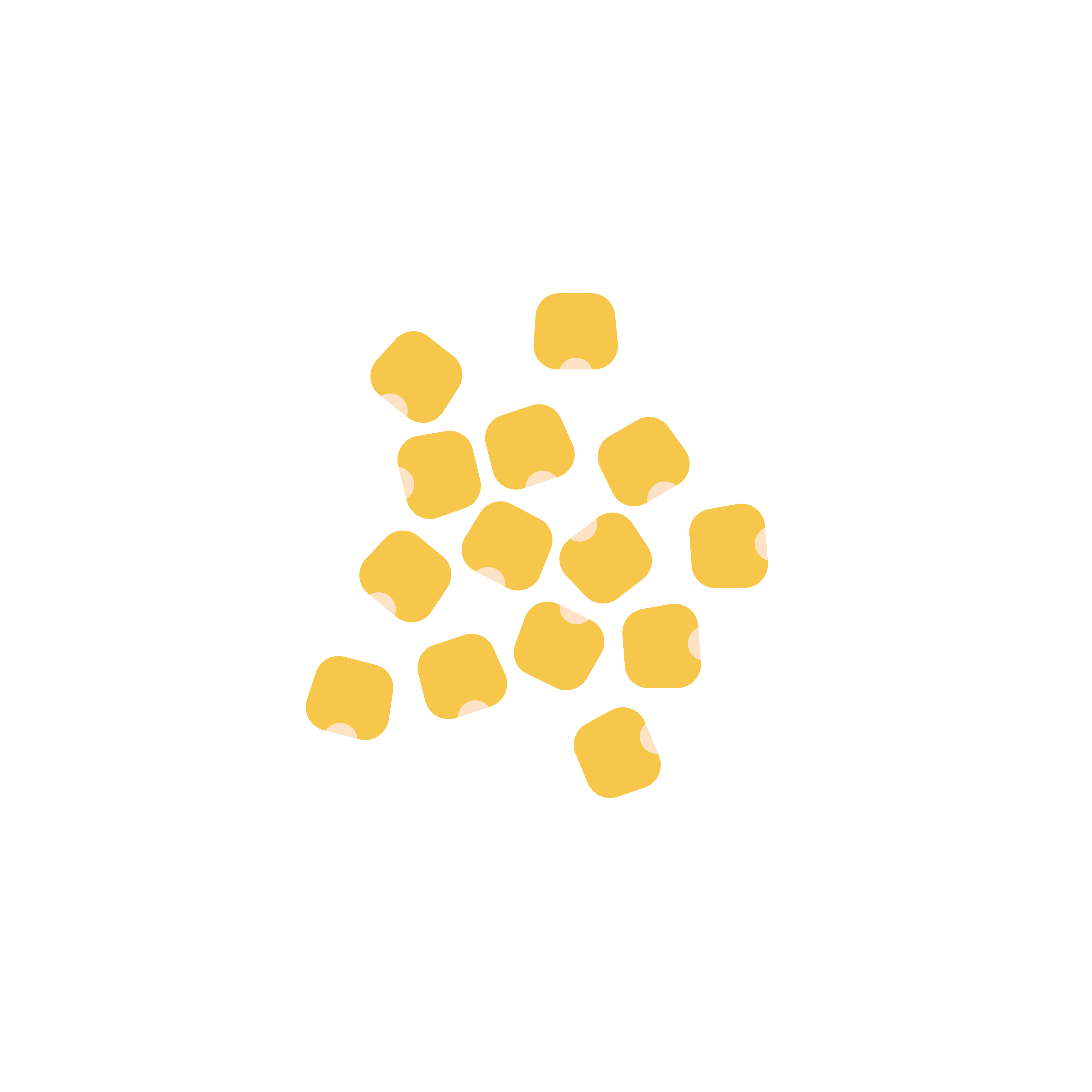 Lupinenkaffee