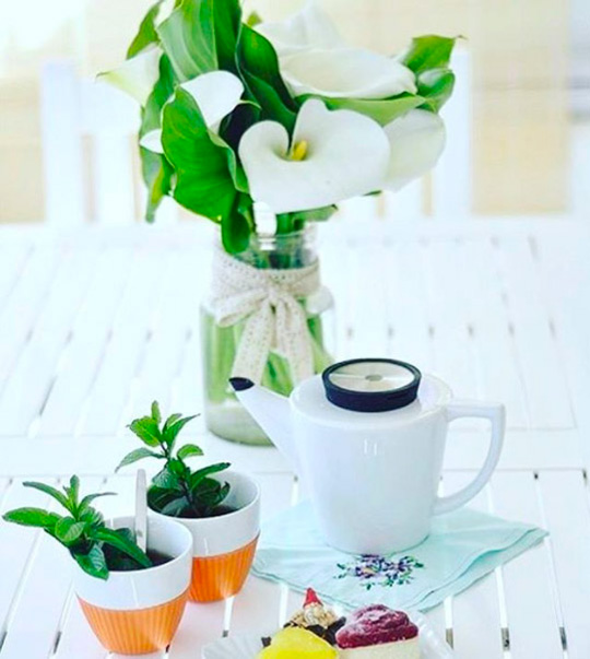 theiere-viva-scandinavia-bjorn-65cl"