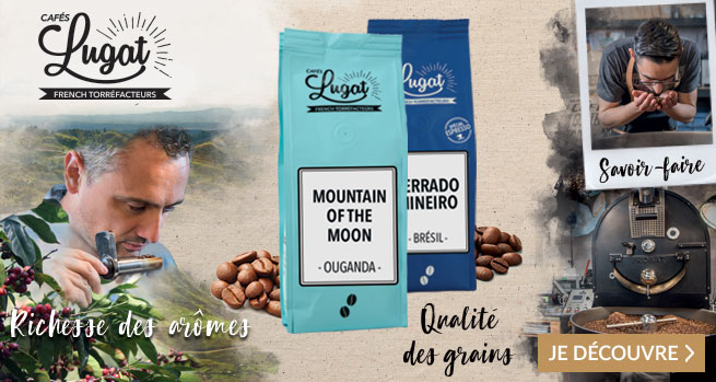 D�couvrez les meilleures origines !