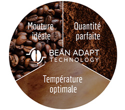 Bean Select Techonologie Delonghi