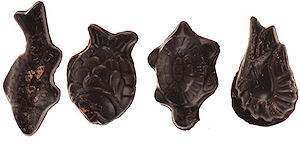 Friture au chocolat noir 250g - Pierre Koenig