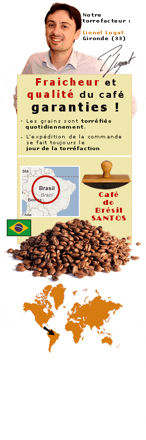 caf&eacute; en grains Bresil de notre torr&eacute;facteur