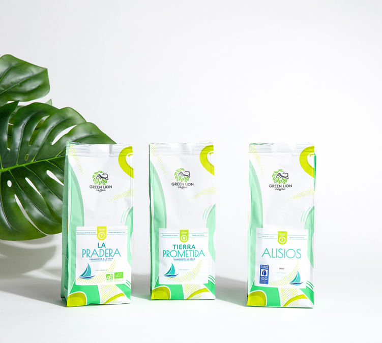 grains de cafe amerique du sud green lion coffee