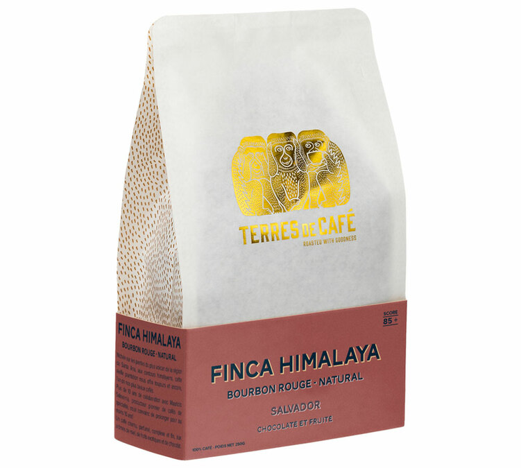 cafe en grain terres de cafe himalaya bourbon rouge 250g