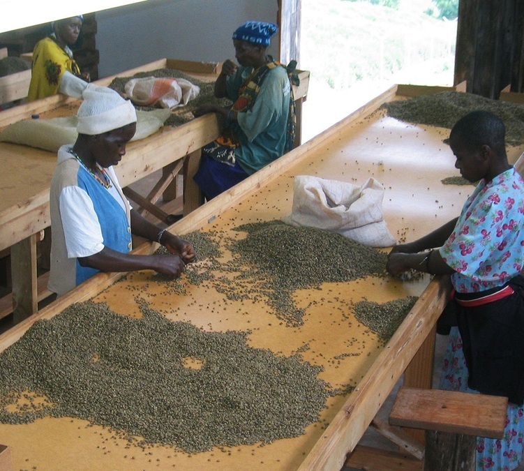 Coffret Café Kenya 3x250g Cafés Lugat