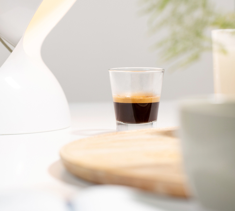 capsules compatibles Nespresso Original bio Green Lion Coffee Nova Earth caf&eacute; cors&eacute; x10