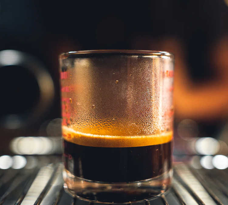 dosettes Senseo compatibles GIMOKA Cors&eacute; x36 caf&eacute; intense