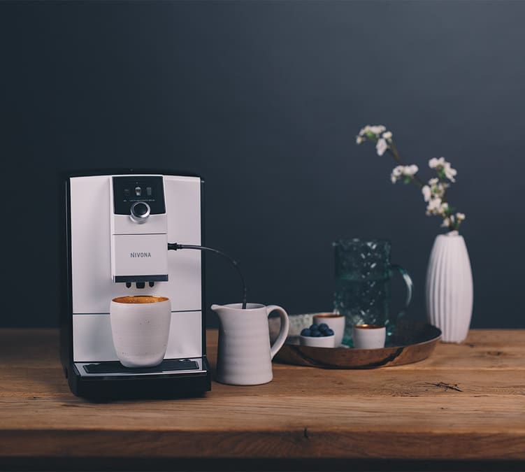 Vhbw 2x filtre à eau compatible avec Nivona CafeRomatica 610, 620, 626, 630  machine à café automatique, machine à expresso - gris