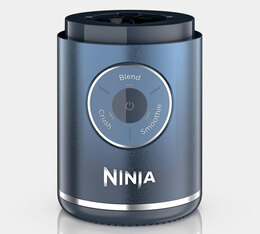 ninja blender fruits frais