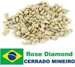 Rose Diamond Green coffee (Special Blend) - Cerrado region - Brazil - 1kg