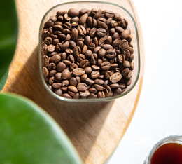 grain cafe dans boite conservation torrefaction moyenne