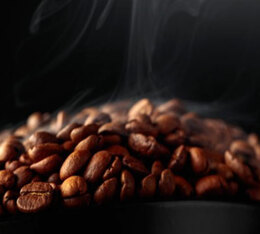 cafe en grain carte noire grains solidaires 2x500g torrefaction foncee boise gourmand