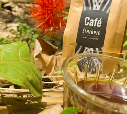 cafe en grain arabica ethiopie bio lagrange