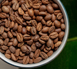 Café en grain Brewmanity du Pérou torréfié en France par Green Lion Coffee