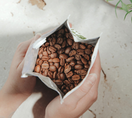 Cafés en grain bio Green Lion Coffee torréfiés en France