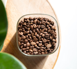 Caf&eacute; en grain bio 100 % arabica La Roota Bio &ndash; Green Lion Coffee