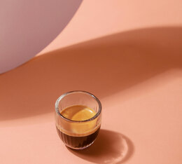 caf&eacute; en grain Caff&egrave; Vergnano Cremoso Riserva Torino espresso italien intense