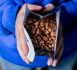 ferme arbegona sidama ethiopie