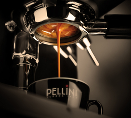 cafe espresso avec cafe en grain pellini vivace