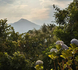 finca himalaya salvador cafe de specialite mauricio salaverria