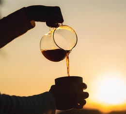 tasse caf&eacute; en grain The Barn Elemental notes amandes grill&eacute;es dattes chocolat au lait vanille