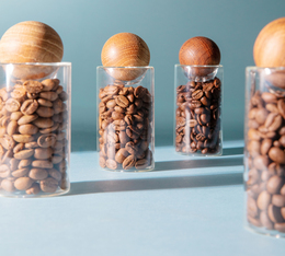 bocaux de cafes en grain frais lugat montrant la qualite et la fraicheur du cafe