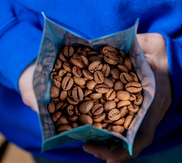 café de spécialité Éthiopie Yirgacheffe Gedeb Cafés Lugat