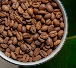 grains cafe bio torrifies aymara green lion coffee