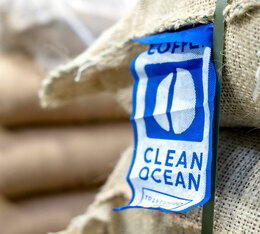 Caf&eacute; transport&eacute; &agrave; la voile FCCO r&eacute;duction CO2 caf&eacute; durable