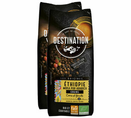 2 kg Café en grain pour professionnels Moka Ethiopie 100% Arabica Bio - DESTINATION