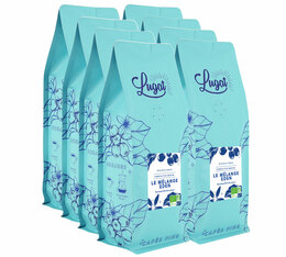 8 kg Café en grain bio pour professionnels - Le Melange Eden - LUGAT