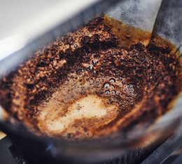 extraction douce cafe de specialite