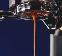 cafe de specialite torrefie en france  lugat