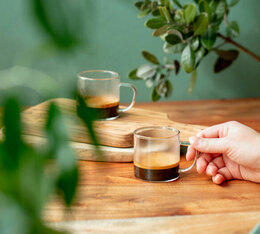 organic green lion coffee