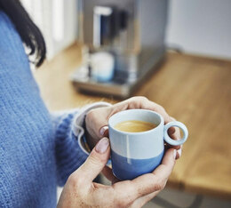 cafe en grain guatemala huehuetenango lugat