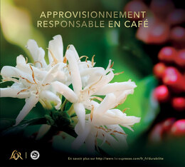 cafe en grain en format économique 4 kg