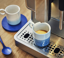 coffee beans lugat las planadas bio 250g organic