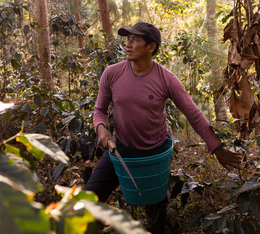 Engagement Fairtrade La Semeuse