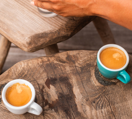 capsules compatibles nespresso perleo delicato espresso