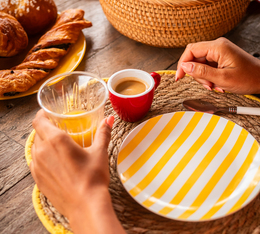 capsules espresso perleo intenses compatibles nespresso maison maestro